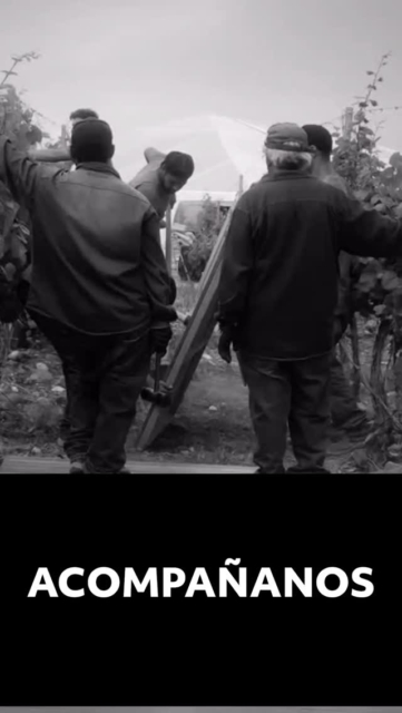 Acompañanos a una noche Maravillosa
En @casadavid_wineandhorses
Y un equipo de lujo para que todo sea perfecto!!
@wedding_mendoza
#carpasparaeventos #eventosenmendoza #bodasenbodegas #bodas #weddings #carpascristal #casamento #carpasconestilo #mlcarpasparaeventos